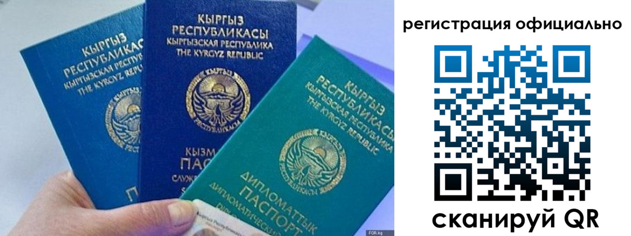 прописка в Бологом